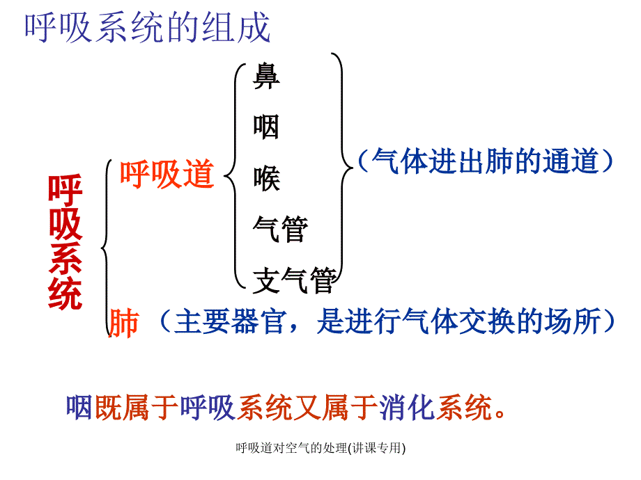 最新呼吸道对空气的处理讲课专用_第3页