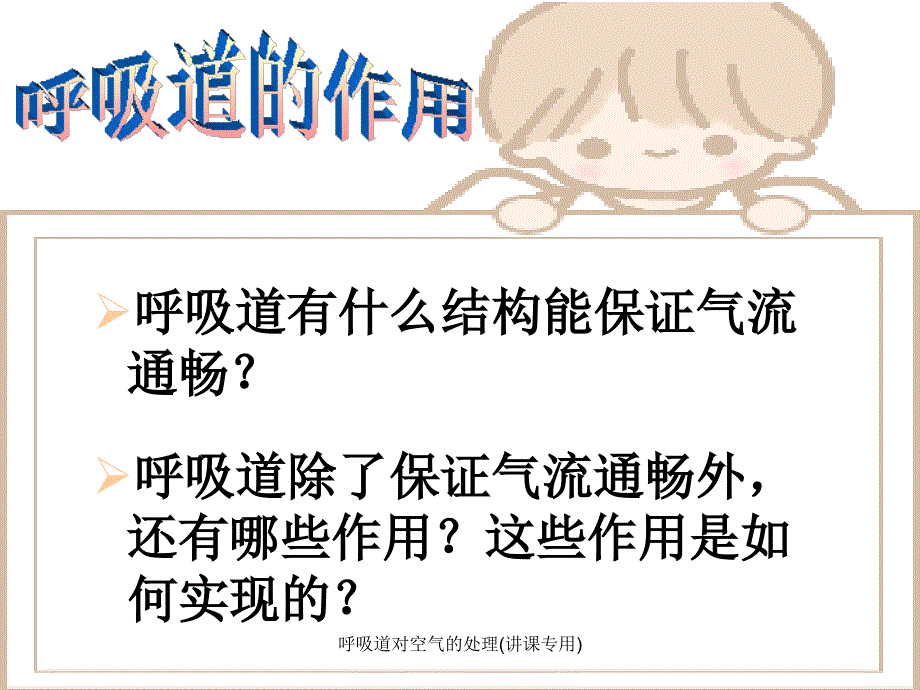 最新呼吸道对空气的处理讲课专用_第4页