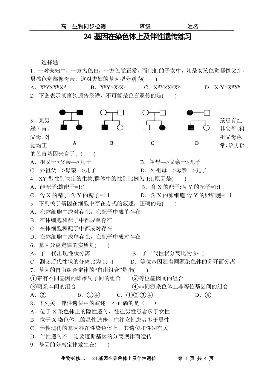 24基因在染色体上及伴性.doc_第1页