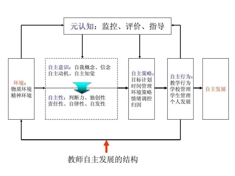 专题十教师专业成长.ppt_第5页