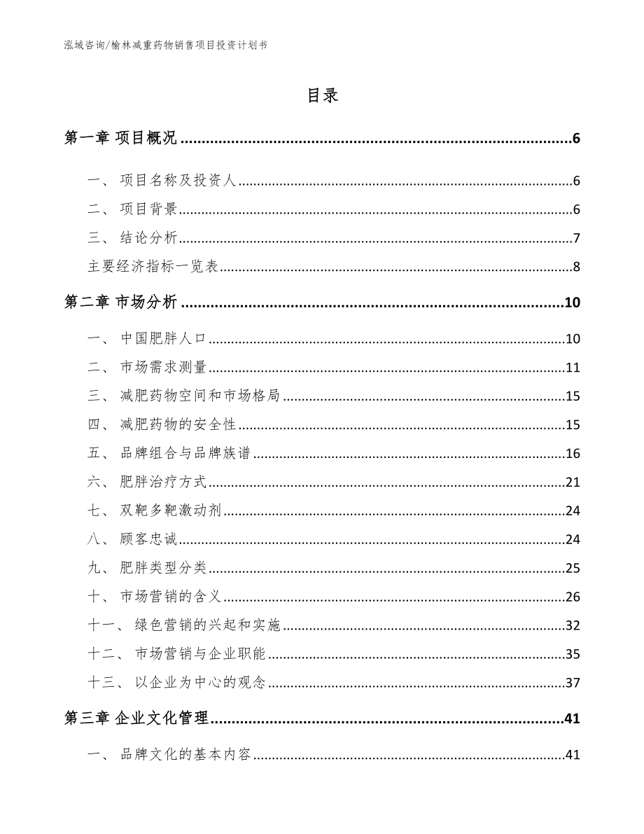 榆林减重药物销售项目投资计划书_第2页