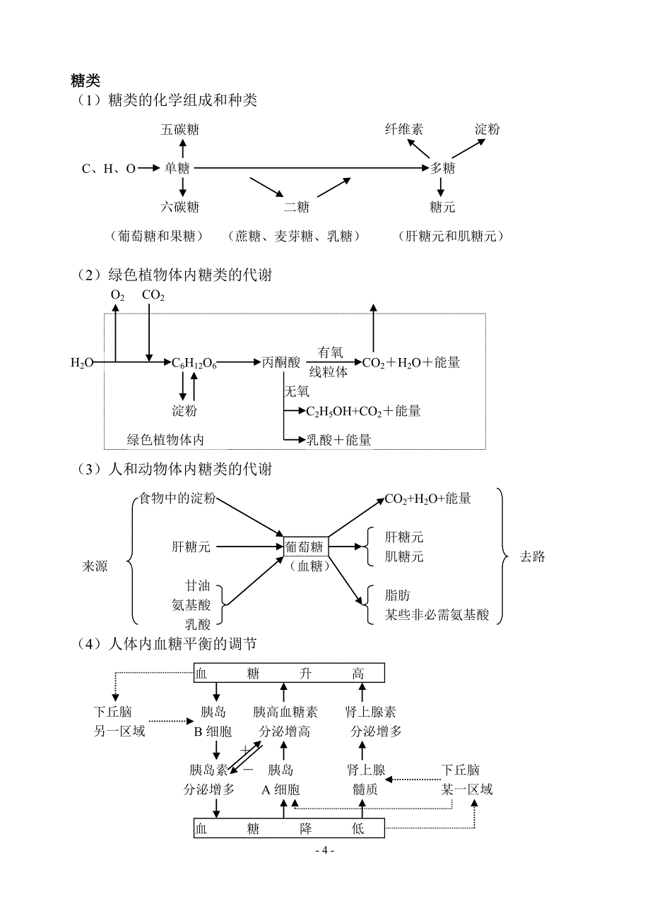 高中生物知识网络体系.doc_第4页