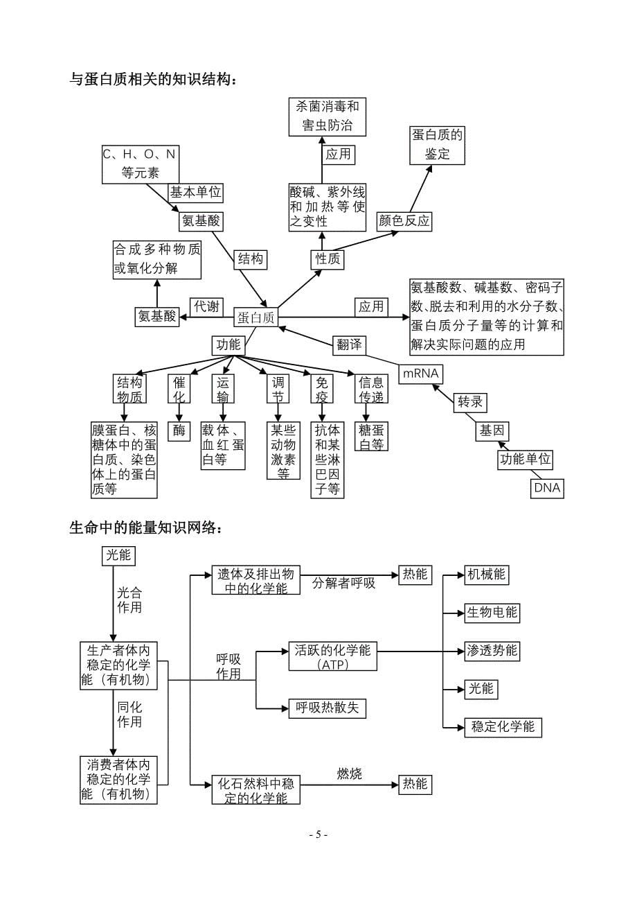 高中生物知识网络体系.doc_第5页