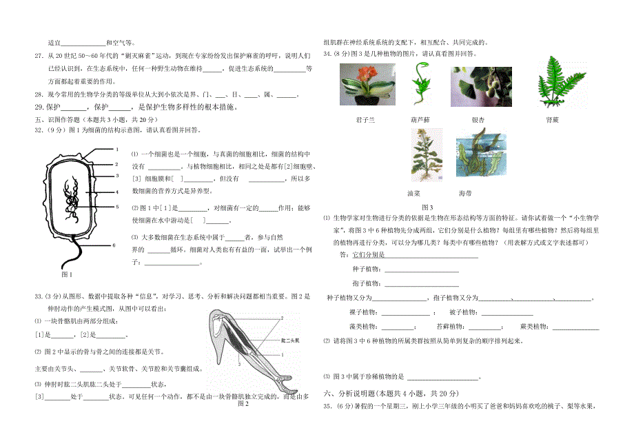 人教版八年级上册生物期末试题_第2页