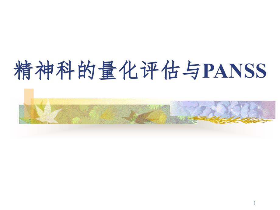 PANSS培训PPT演示课件_第1页