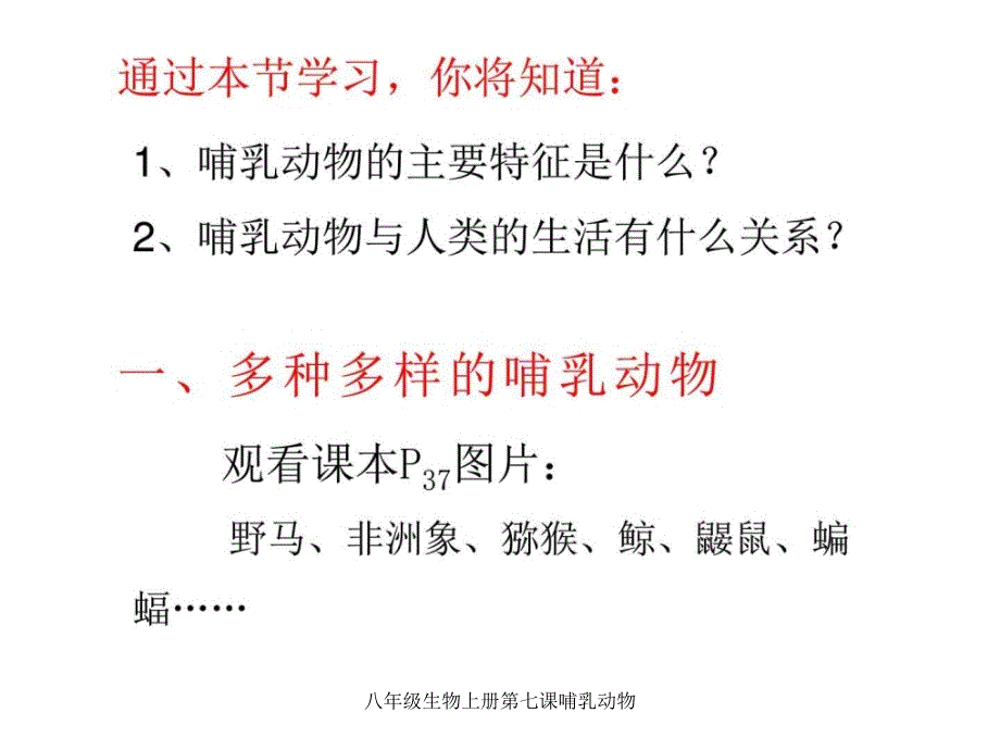 八年级生物上册第七课哺乳动物课件_第2页