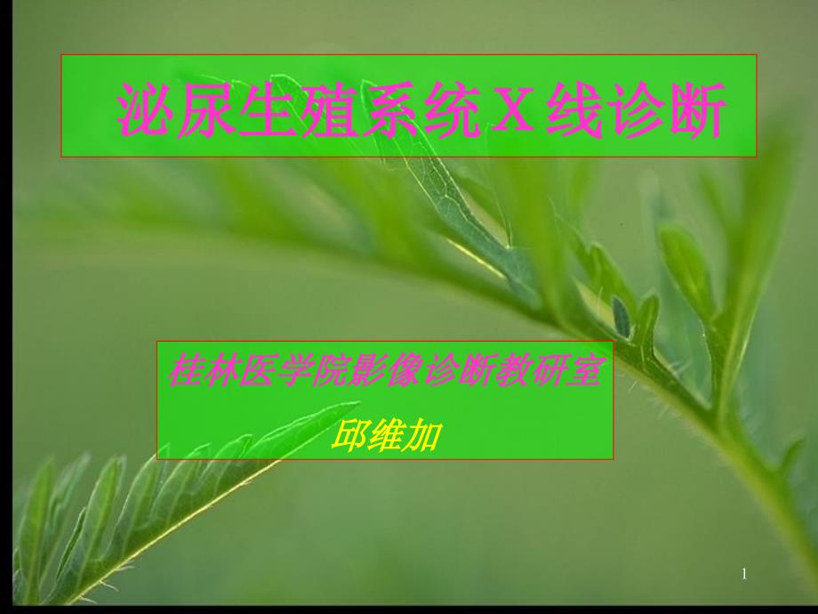 泌尿生殖系统Ｘ线诊断_第1页