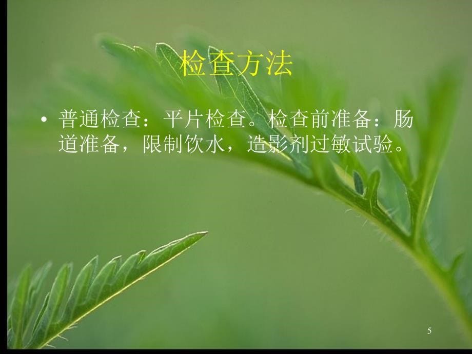 泌尿生殖系统Ｘ线诊断_第5页