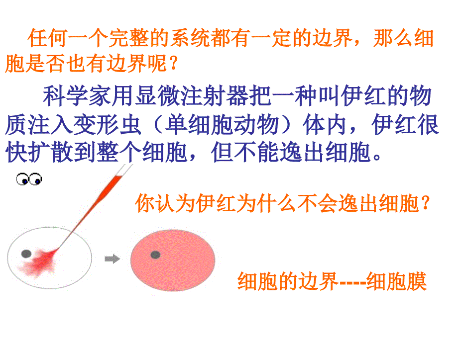 必修一31细胞膜课件_第3页