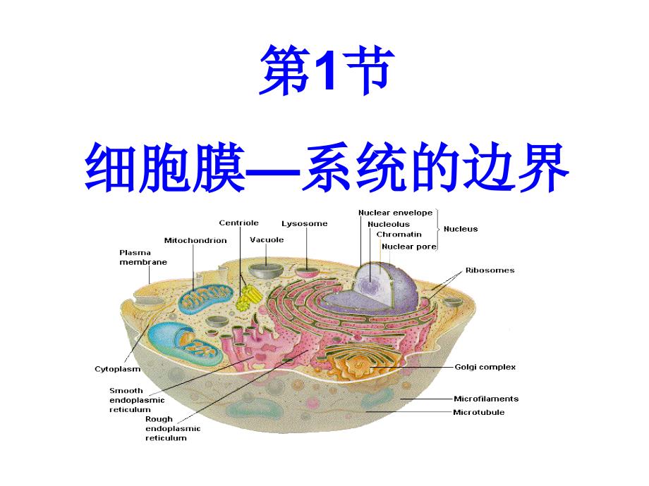 必修一31细胞膜课件_第4页