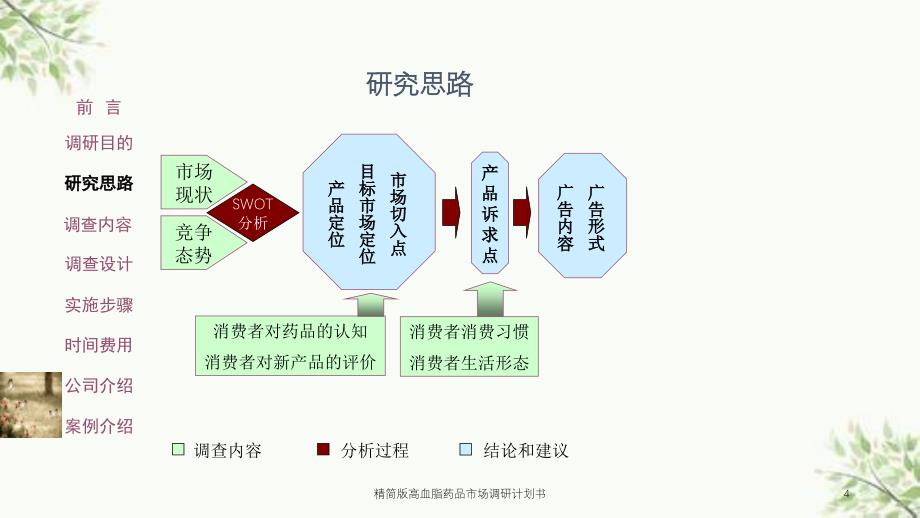 精简版高血脂药品市场调研计划书课件_第4页