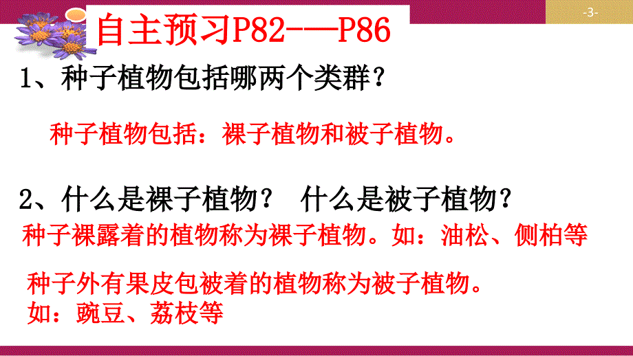 312种子植物第二课时_第3页