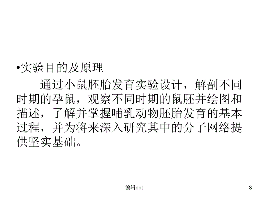 实验小鼠发育1_第3页