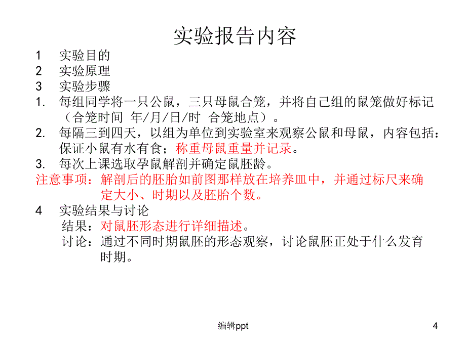 实验小鼠发育1_第4页