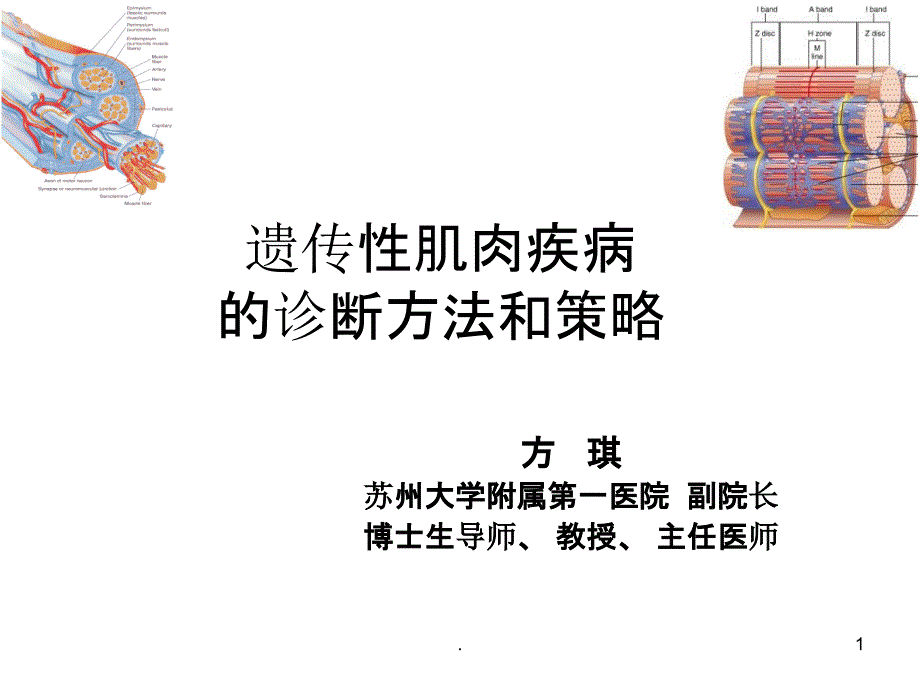 方琪遗传性肌肉疾病的诊断方法和策略PPT课件_第1页