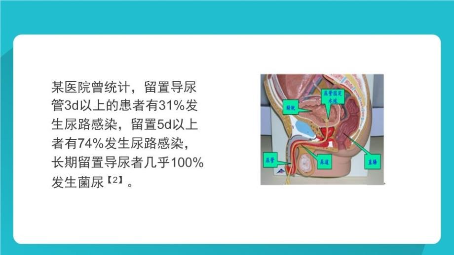 如何减少留置导尿引发的感染教学文案_第3页