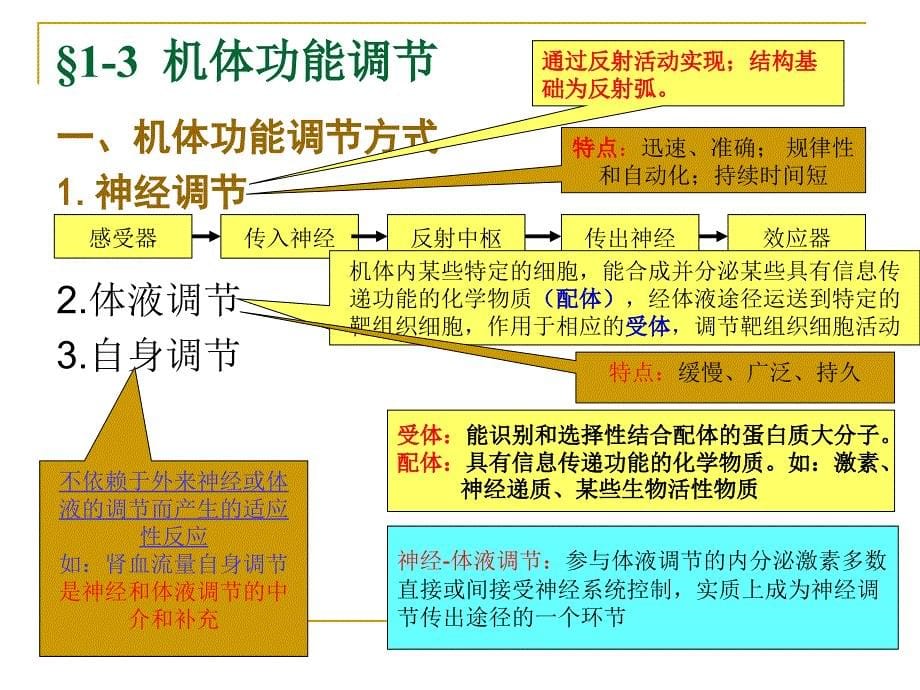 《动物生理学》课件_第5页