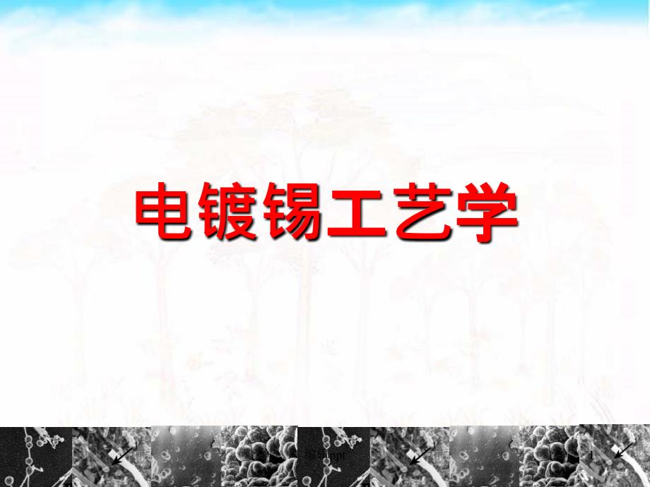 镀锡工艺从入门到精通_第1页