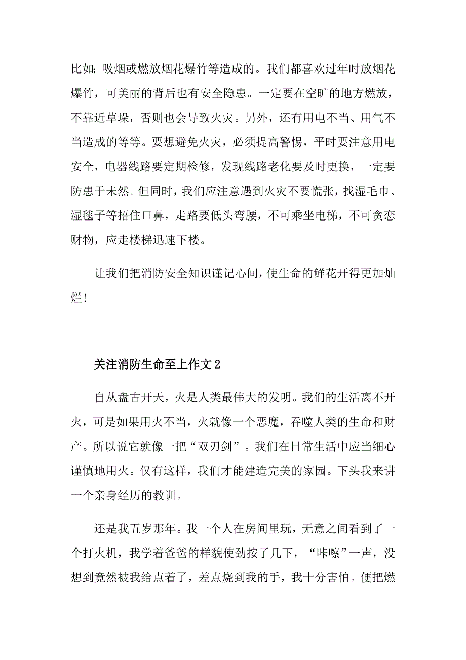 关注消防生命至上作文小学_第2页