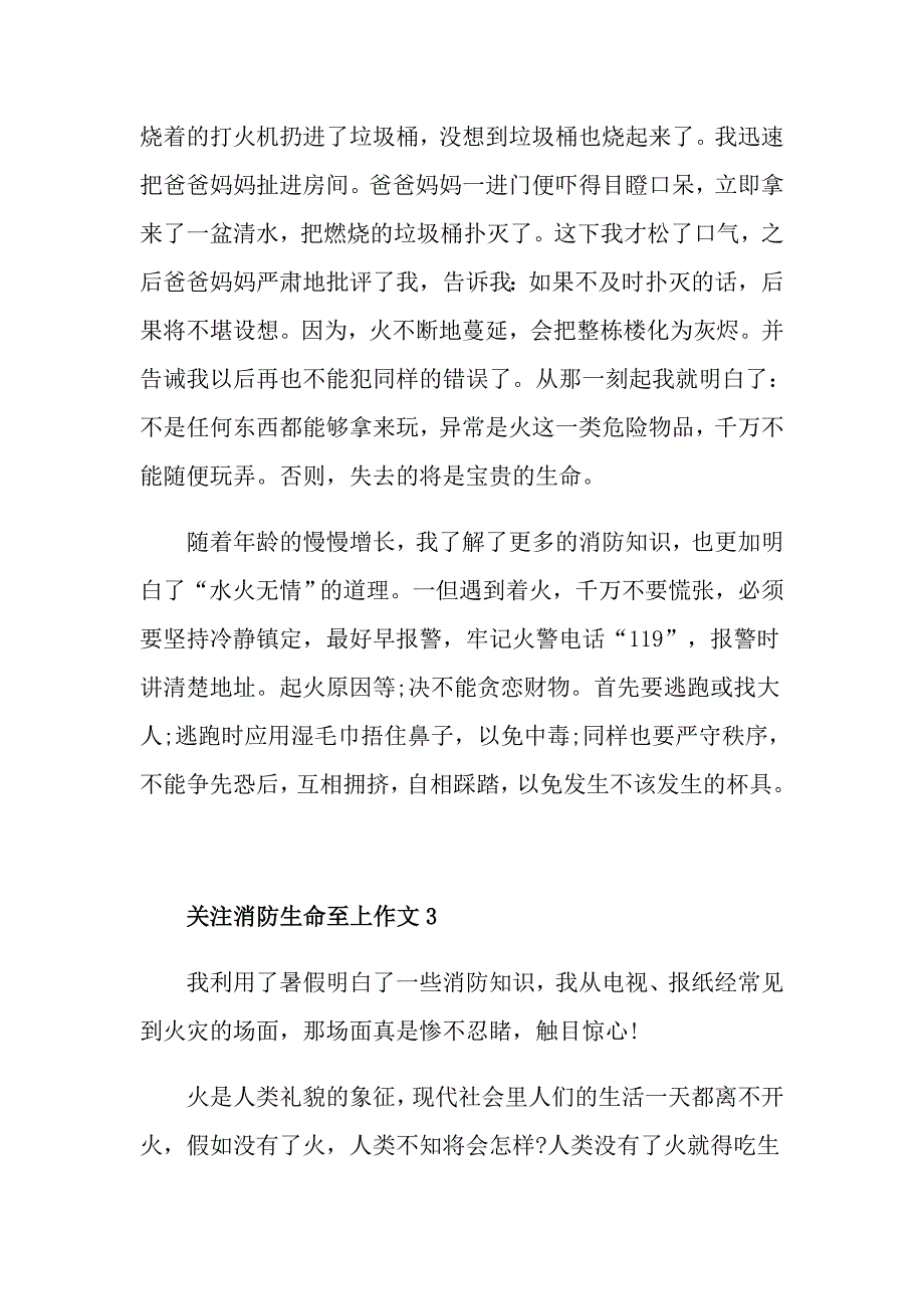 关注消防生命至上作文小学_第3页