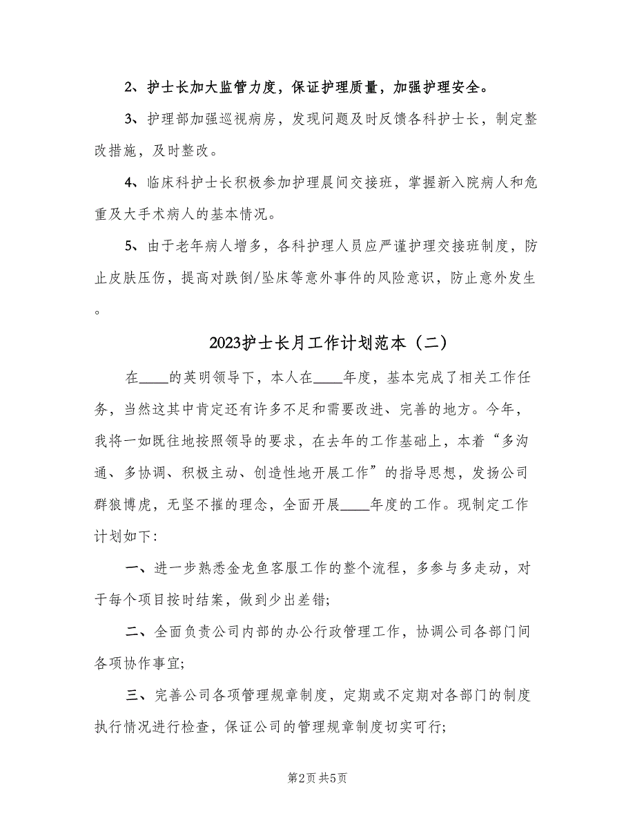 2023护士长月工作计划范本（四篇）_第2页