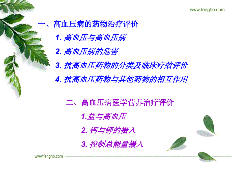 最新孙慧君高血压病药物治疗与医学营养治疗评价PPT课件_第2页