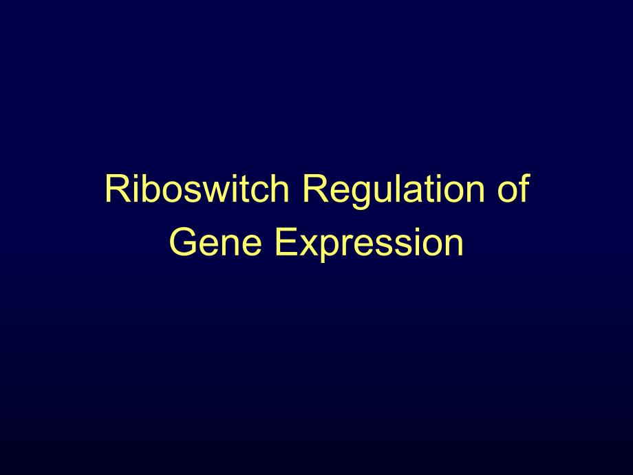分子生物学第十一章riboswitchmov_第1页