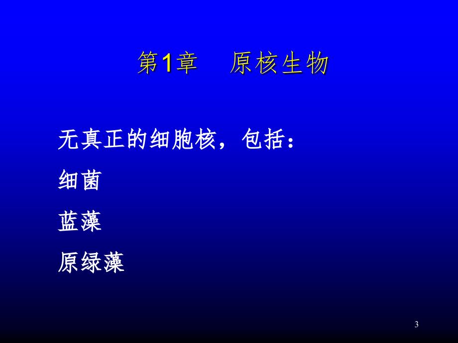 原核生物藻类PPT课件_第3页