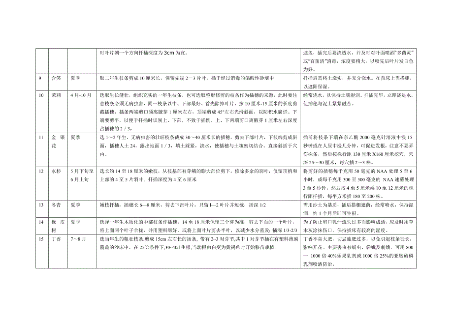 夏季扦插植物.doc_第2页