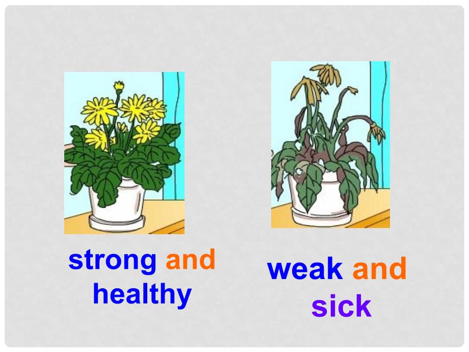 六年级英语下册 Lesson 9《Eat more vegetables and fruit》课件2 （新版）冀教版（三起）_第3页