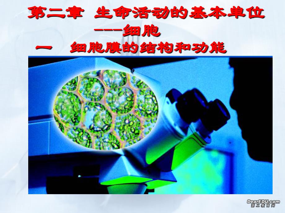 高三生物一轮复习细胞膜的结构和功能.ppt_第1页