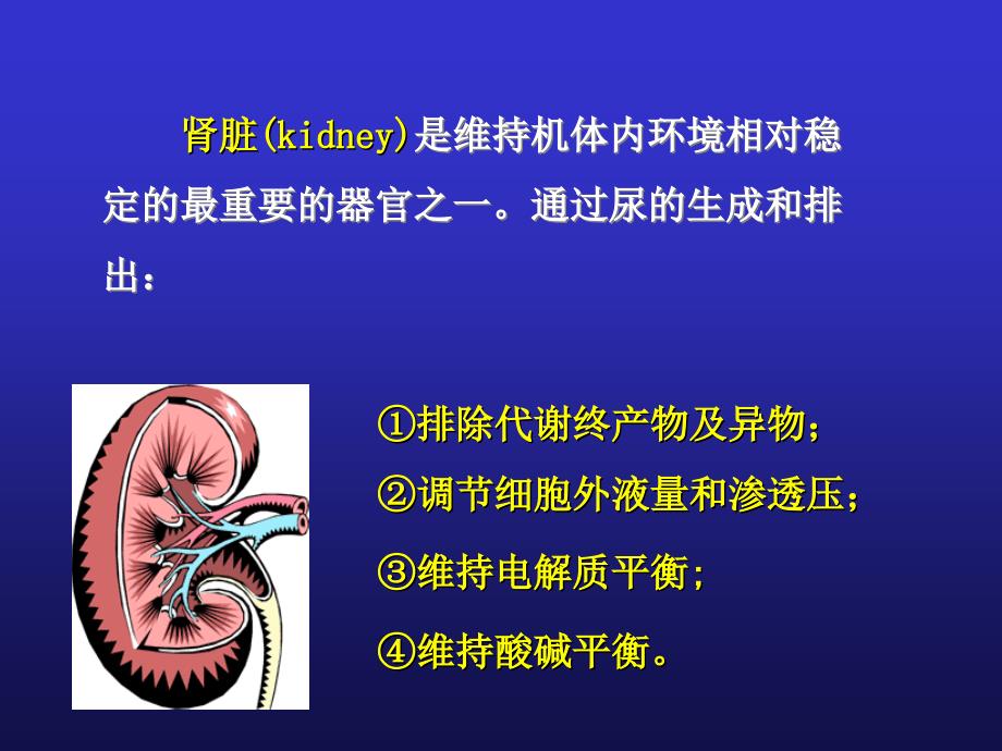 影响尿生成因素_第2页