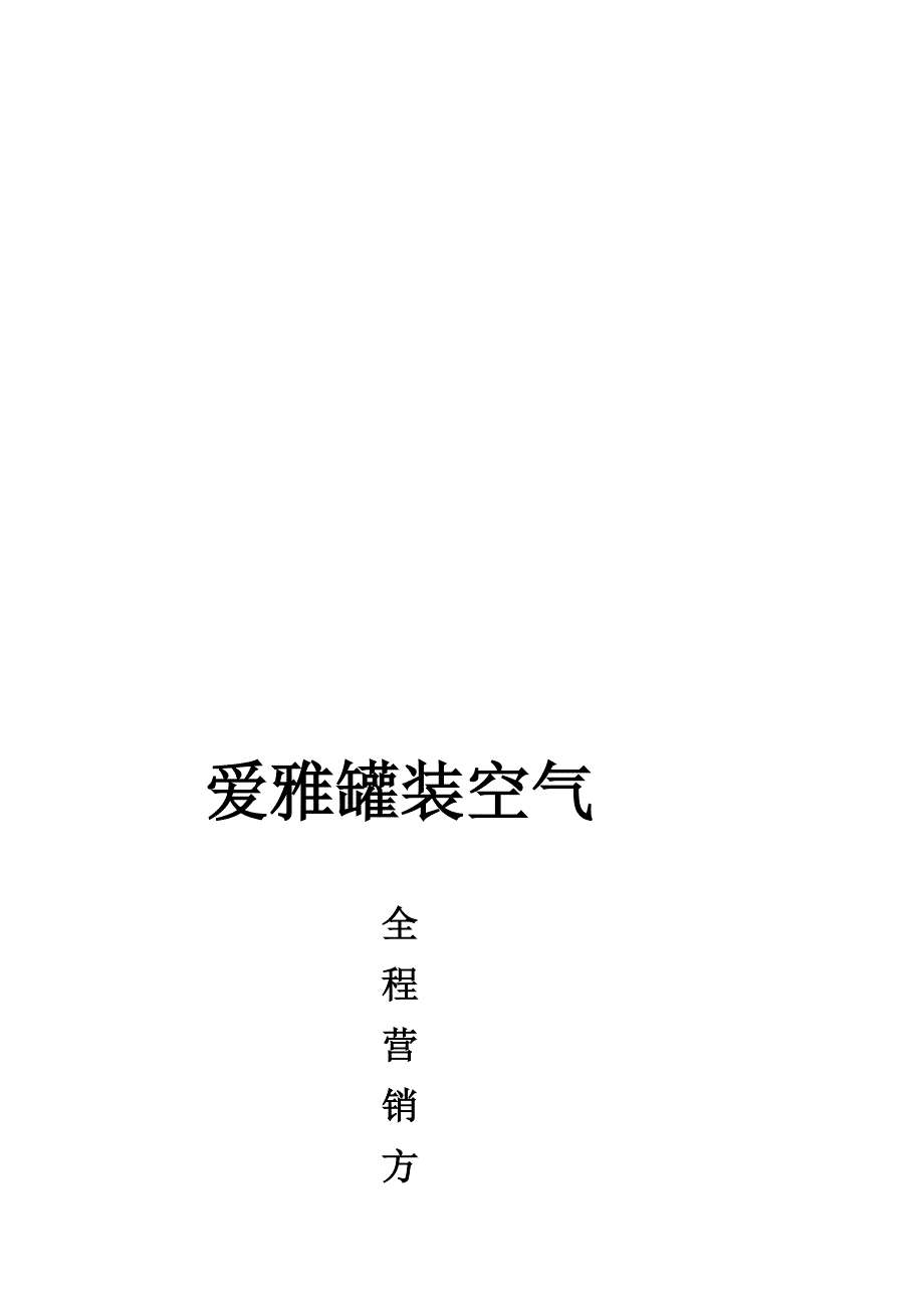 爱雅公司营销策划—李栋小组.doc_第1页