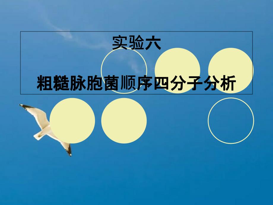 粗糙脉胞菌顺序四分子分析ppt课件_第1页