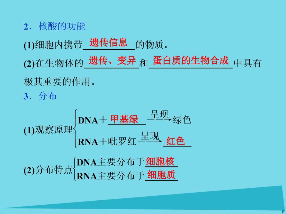 高考生物总复习 第1单元 第4讲 遗传信息的携带者课件_第4页