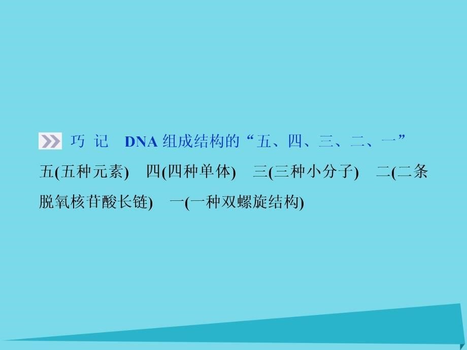 高考生物总复习 第1单元 第4讲 遗传信息的携带者课件_第5页