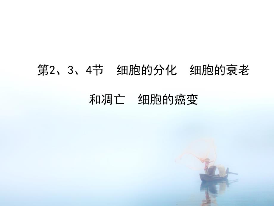 13细胞的分化衰老凋亡和癌变_第1页