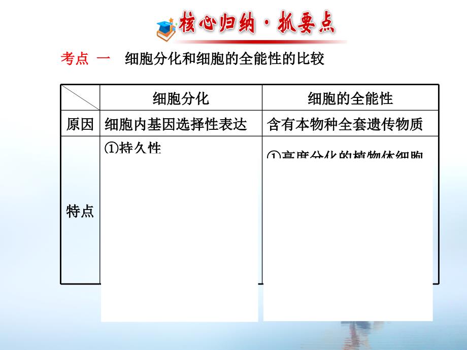 13细胞的分化衰老凋亡和癌变_第4页