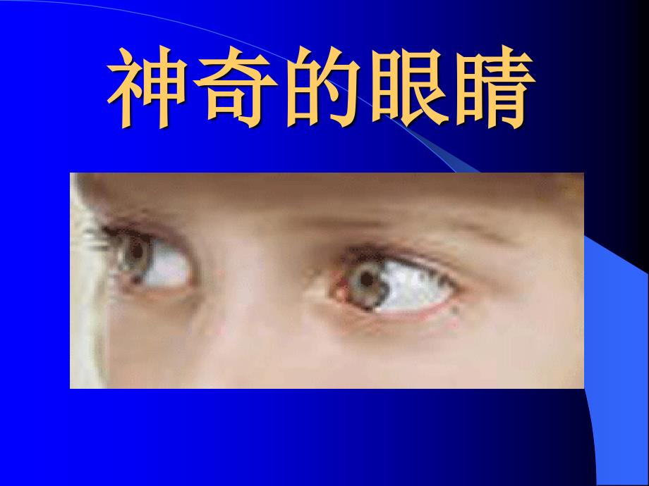 【中小学健康教育课件】神奇的眼睛_第1页