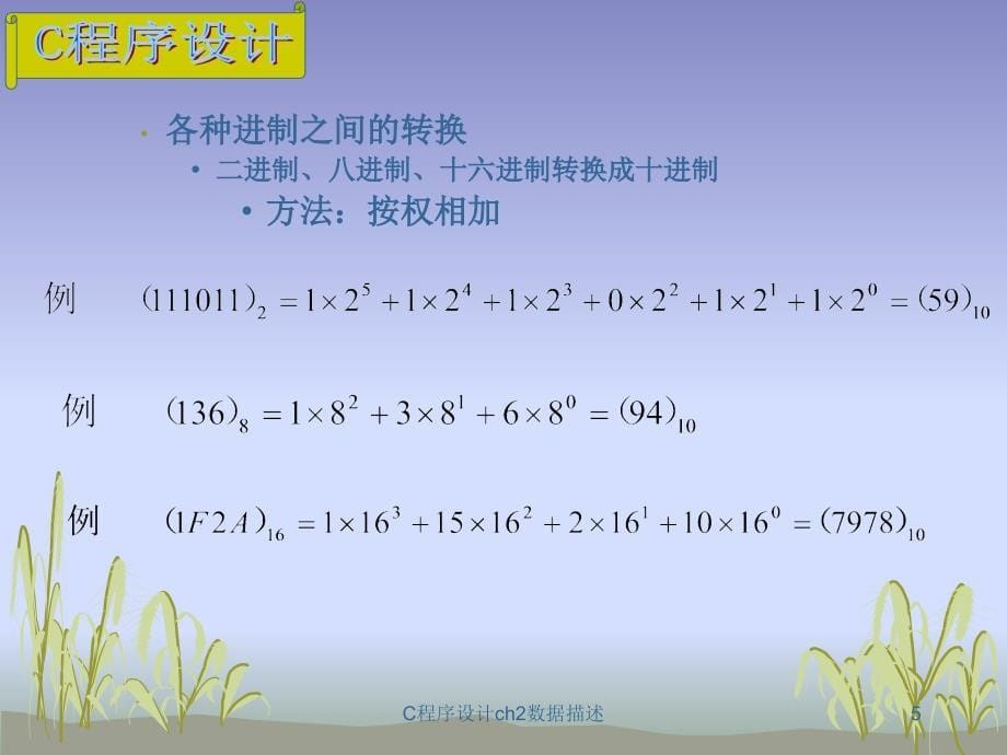 C程序设计ch2数据描述课件_第5页