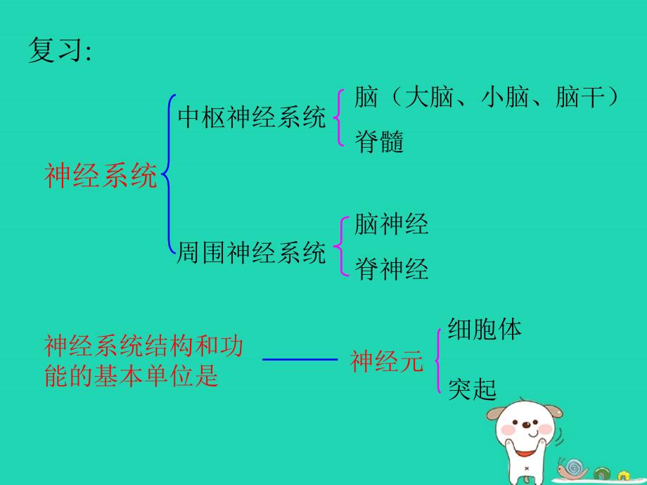 人教版神经调节的基本方式课件_第2页