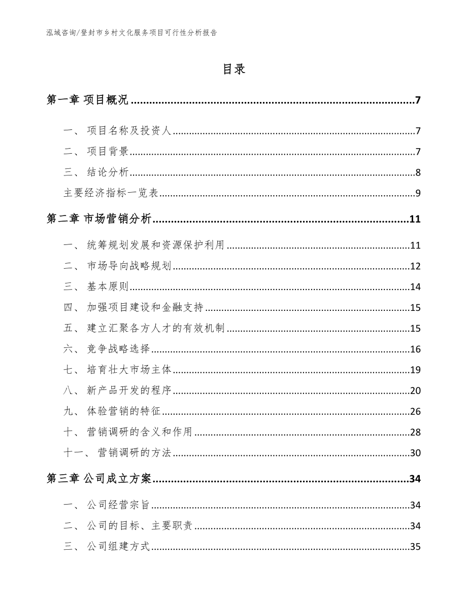 登封市乡村文化服务项目可行性分析报告模板范文_第2页