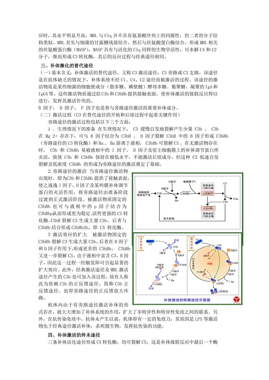 第六章补体系统.doc_第5页