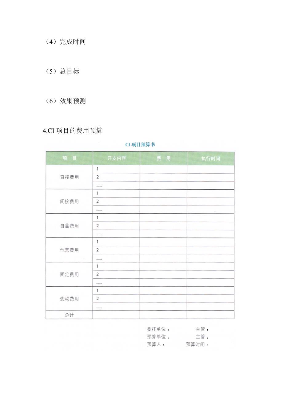 导入CI提案书_第4页