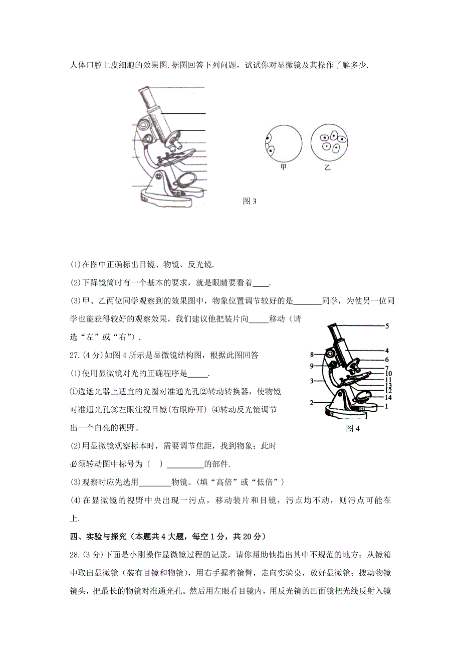 八年级生物上册单元检测试题4_第4页