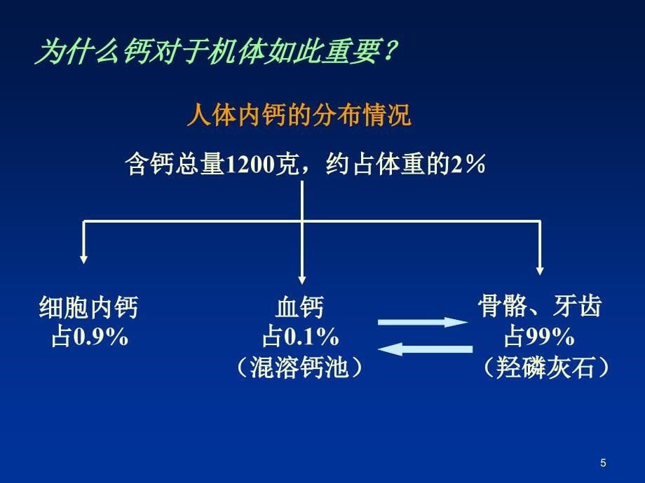 矿宝与矿物质_第5页