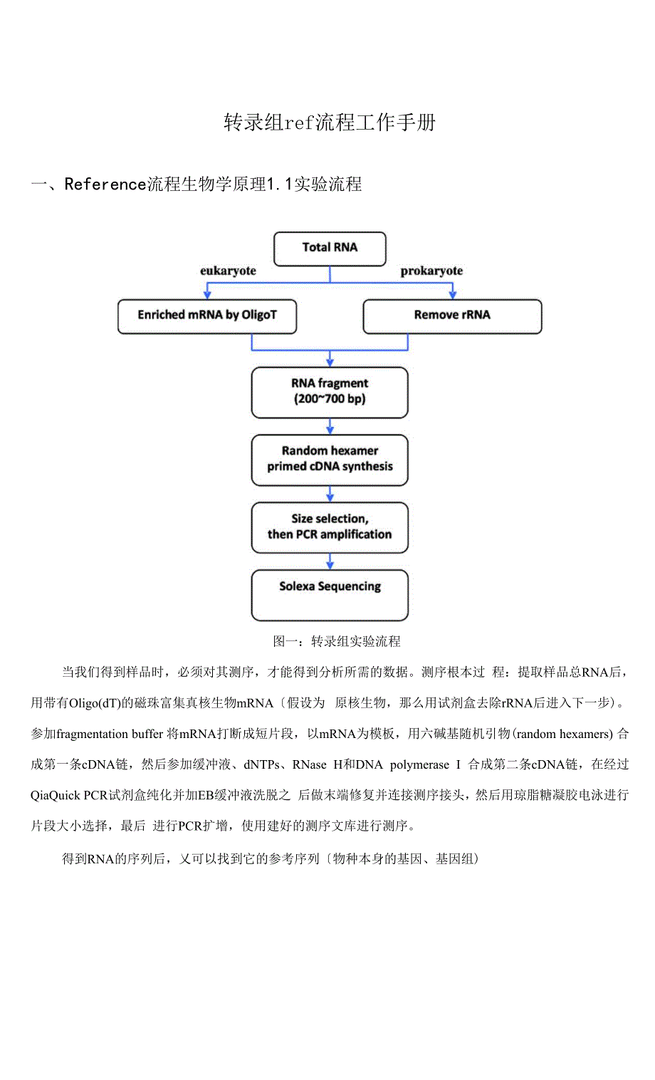 转录组ref流程工作手册.docx_第1页