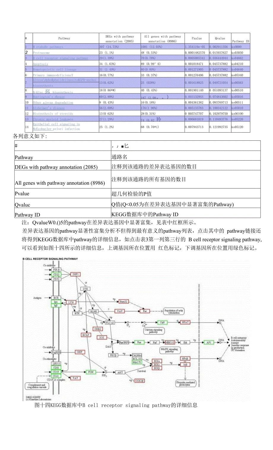 转录组ref流程工作手册.docx_第5页