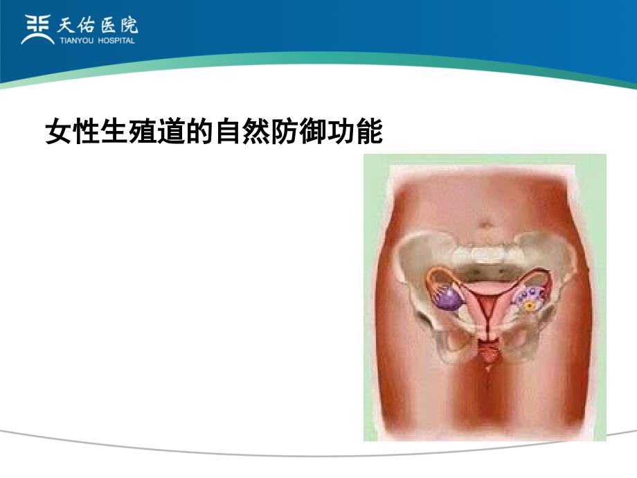 妇产科学教学课件：第二十四章 盆腔炎性疾病及生殖器结核_第3页