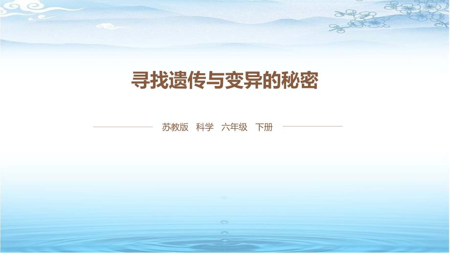 六年级下册科学寻找遗传与变异的秘密苏教版课件_第1页
